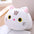 Cartoon Cute Pet Plush Doll Sleeping Pillow - ChicaLux