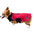 Knitted reversible pet clothes