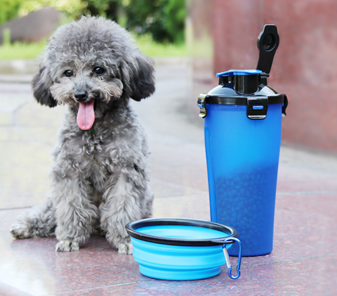 2 In 1Pet Water Bottle Dispenser Travel Portable Dog Cat Drinking Silicone Bowl - ChicaLux